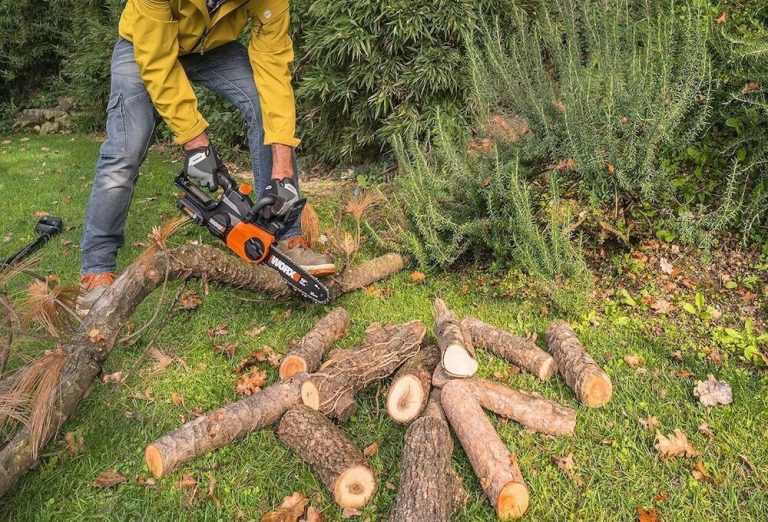 What Is The Best Chainsaw To Buy